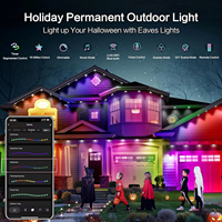 Contrôleur Wi-Fi intelligent pour lumières LED de vacances en extérieur, corps en PVC pour l'éclairage de jardin, éclairage de Noël, affichage extérieur permanent de la maison