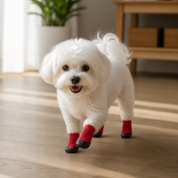 Chaussures de protection pour animaux de compagnie, chaussettes antidérapantes à semelle en caoutchouc pour petits chiens, pour la marche en extérieur