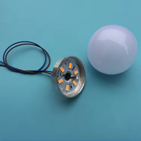 Ampoule de Source de lumière LED ponctuelle personnalisée en usine 3000K-6500K DC5V 12V artisanat décoration lumière et miroir ampoule 35mm 45mm 50mm