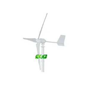 ESG rüzgar enerjisi sistemi kalıcı mıknatıs yatay eksenli AC 100w 200w 300w rüzgar türbini