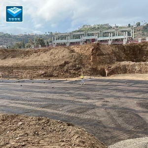 Lưới địa kỹ thuật đơn hướng/ một chiều OBOR Polypropylene dùng cho bảo vệ sườn dốc, tường chắn - Product Image 4