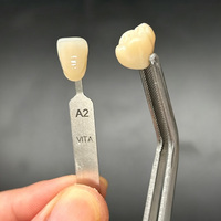 Ivista UT ML Blok Zirkonia Gigi Multilayer untuk Bridge Zirkonia Anterior, Disc Milling CAD CAM Buatan Khusus