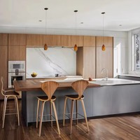 Meuble de cuisine modulaire, Robinet, Charnière, Panier de tiroir, Évier, Design moderne américain personnalisé, Finition imitation bois acrylique