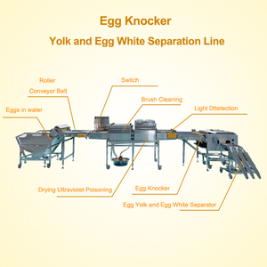 <span class=keywords><strong>3</strong></span>トラック6列卵白と卵液体分離生産ライン2000キログラム/時間卵ブレーカーマシン - Product Image 2