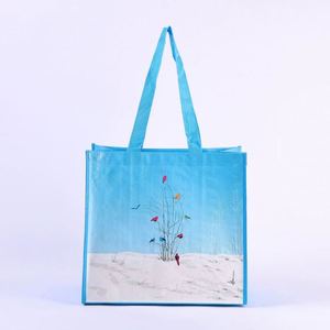 กระเป๋าผ้า PP ขายส่ง พิมพ์สีเต็มรูปแบบ โลโก้สั่งทำเคลือบลามิเนต กระเป๋าช้อปปิ้ง PP เป็นมิตรกับสิ่งแวดล้อม - Product Image 1