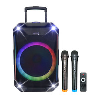 Enceinte trolley Bluetooth 15 pouces, volume puissant, longue autonomie, audio extérieur et domestique avec microphone, Bluetooth 5.3