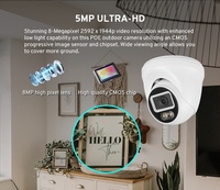Human Detection IP Network Fixed Turret Camera Full Color Night Vision Outdoor Eyeball Security Camera