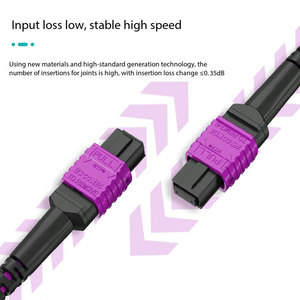 Câble de <span class=keywords><strong>Fibre</strong></span> Optique Multimode OM4 Longue Portée de 30 Mètres Offrant des Performances de Transmission Supérieures et une Bande Passante Plus Large que la <span class=keywords><strong>Fibre</strong></span> OM3 - Product Image 2