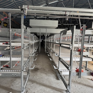 Sistema automatico 3/4/5/6 livelli a batteria gabbia galline ovaiole per strati di allevamento - Product Image 3