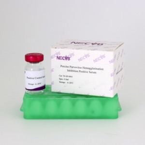 हाई टेस्ट के लिए पीपीवी पॉजिटिव सीरम | पोरसिन पैरावोवायरस एंटीबॉडी | 0.5 मिली/शीरा - Product Image 4
