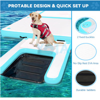 Rampe gonflable en PVC pour chien, plateforme flottante pour sports nautiques et quai de piscine, échelle pour chien aquatique, rampe de bateau