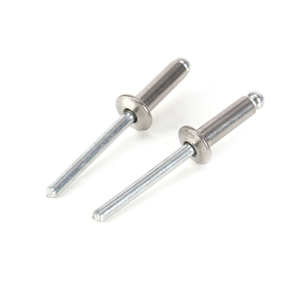 काले छोटे पुल रिवेट 4*10 स्टेनलेस स्टील ग्रीनहाउस सामग्री प्रणाली सहायक इन्सुलेशन - Product Image 2