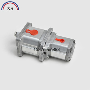 Pola Oil Pump Pola2-<b>D</b>-13-P507 Aluminum For Bona Paper Cutter Italy Made - Product Image 2