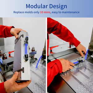 Aluminium Plastic <span class=keywords><strong>Capsule</strong></span> Tablet Pil Blister Verpakking Maken <span class=keywords><strong>Machine</strong></span> Prijs - Product Image 3