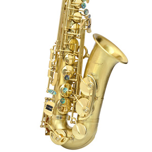 プロの陽極線画完成した管楽器S-40手頃な価格のSax ProfessionalEb Alto Saxophone with Accessories - Product Image 1