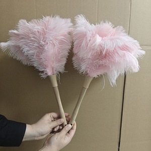 <span class=keywords><strong>Plumeau</strong></span> en Plumes d'Autruche de Haute Qualité, Emballage Personnalisable, Lavable, pour Usage Domestique - Product Image 1