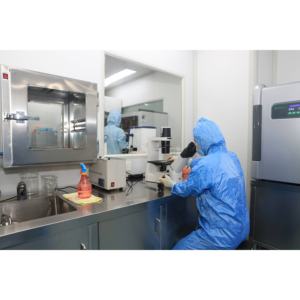 Kit ELISA para Análise Sandwich de Interleucina Humana 2 (IL-2) 48T/96T de Alta Qualidade com 99% de Pureza para Uso Exclusivo em Pesquisa - Product Image 3