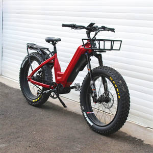 Vélo électrique à assistance au pédalage avec transmission par courroie 1000W, moteur central 48V, batterie 30Ah, vélo électrique 55KM/H, <span class=keywords><strong>moyeu</strong></span> <span class=keywords><strong>ROHLOFF</strong></span> - Product Image 1