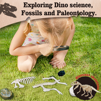 BIG BANG SCIENCE Fabricante de Juguetes ODM/OEM, Kit de Exploración de Paleontología de Dinosaurios, Juguete Educativo de Ciencia para Niños