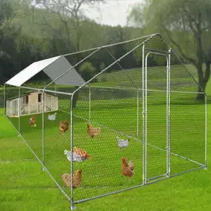 Passeio de galinha gaiolas grandes de metal passeio de galinha na casa de aves do coelho
