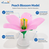 Modèle anatomique de fleur de pêcher, matériau PVC, affichage de la structure florale, enseignement en classe de biologie SGS CE ROHS