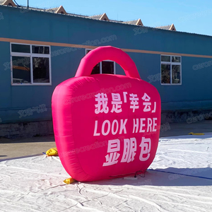 <span class=keywords><strong>Aero</strong></span> 2.4m largeur personnalisé géant publicité sac gonflable dessin animé - Product Image 2