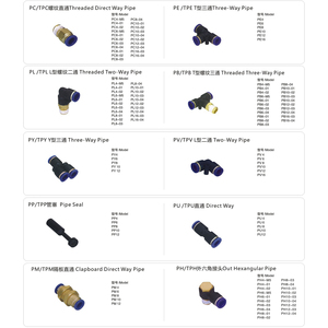 PC PU PT <span class=keywords><strong>PL</strong></span> PG connettore tubo rapido in ottone silenziatore pneumatico raccordi per tubi ad unione diritta raccordi rapidi per tubi dell'aria - Product Image 2