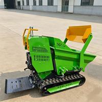 Mini-Raupendumper 500kg Kettenfahrzeug mit Motor & Getriebe für Obstgarten, Landwirtschaft und Bauarbeiten, CE EPA Zertifiziert