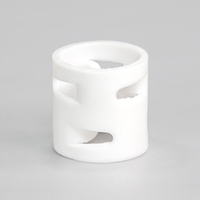 PTFE Pall-Ring mit Korrosionsschutz aus 100% Reinkunststoff, Chemikalienbeständig, Spritzgegossen für Chemieprojekte