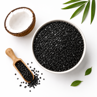 Matériau filtrant en charbon de noix de coco à faible teneur en cendres pour préfiltre de climatiseur avec une grande capacité d'absorption de la poussière