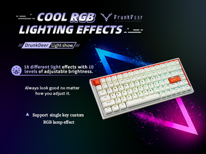 Drunkdeer G75 có dây USB Type-C Bàn phím cơ RGB Backlit phím lập trình có thể điều chỉnh Actuation khoảng cách từ chơi game - Product Image 6