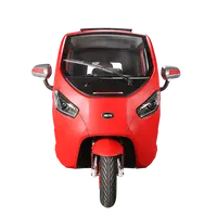 Sport elettrico del triciclo del carico del triciclo elettrico dell'automobile a 3 ruote di migliore qualità di vendita calda