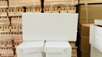Boîte à Nuc Pliante en Plastique Léger avec 5 Cadres, État Neuf, en Carton Ondulé, Ruche pour Abeilles