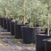 Pots de pépinière en plastique écologiques de 15 à 25 gallons pour jardin et pépinière d'arbres, pots à fleurs et jardinières de grande taille