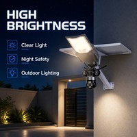Lámpara Solar de Calle con Módulo de Cámara de Seguridad y Cuerpo de Aluminio Fundido a Presión, Personalizada para Áreas de Almacenamiento sin Supervisión