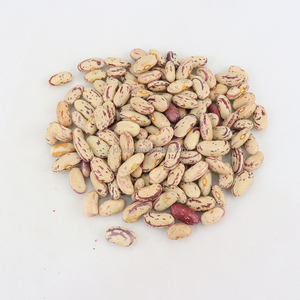 Prezzo all'ingrosso essiccato forma rotonda luce maculata fagioli <span class=keywords><strong>rossi</strong></span> mirtilli <span class=keywords><strong>rossi</strong></span> fagioli pinno Olanda Frijol - Product Image 6