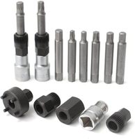 Kit de Herramientas para Polea de Alternador de 13 Piezas, Herramienta de Extracción de Polea de Alternador para Coche, Extractor de Desacoplamiento de Polea