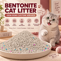 Litière pour chat en bentonite de sodium écologique de qualité supérieure, forme de boule, 8 kg, sans poussière, hautement absorbante, agglomération rapide, contrôle des odeurs, OEM