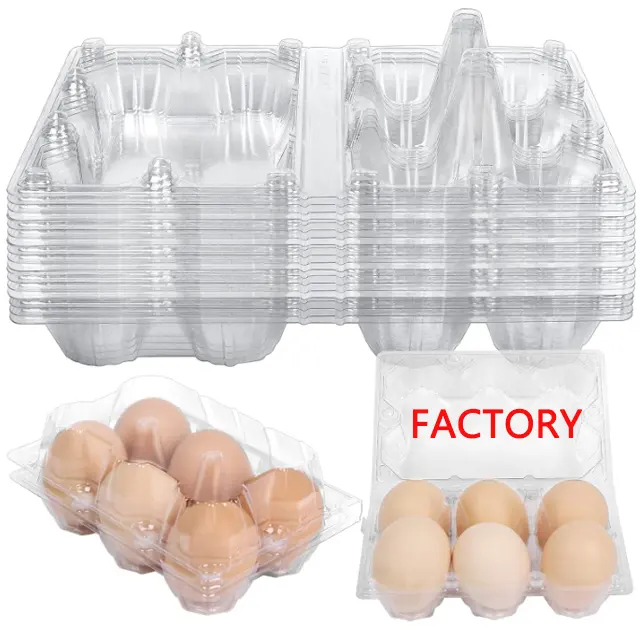 علب البيض للإستخدام الواحد 6 علب بيض علبة تعبئة بيض