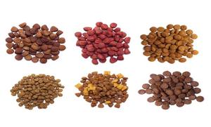 Máquina de producción de aperitivos para alimentos para mascotas, máquinas de procesamiento de alimentos para mascotas, extrusora de alimentos para peces, línea de producción de harina de pescado - Product Image 2