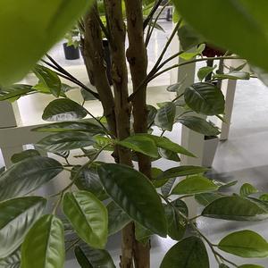 Piccolo Bonsai Artificiale di Limone, Pianta Verde Simulata in Vaso per Decorazione di Soggiorno o Ufficio - Product Image 3