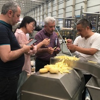 Industriële volautomatische friteuse voor de productielijn van frieten, aardappelstokjes, fruit & groenten, bevroren systeem