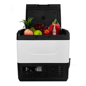 EF15 kompresör buzdolabı 12v 24v araba buzdolabı dondurucu 15l araba Mini taşınabilir buzdolabı elektrikli dondurucu soğutucu araba için