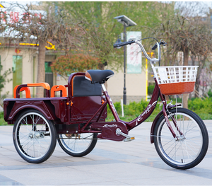 Triciclo Cargo a Pedali da 20 Pollici per Adulti, Prezzo Economico per Triciclo <span class=keywords><strong>Pedicab</strong></span> nelle Filippine - Product Image 2