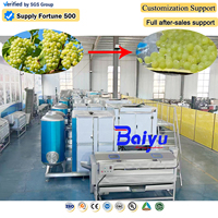 Baiyu Automatische Druivenverwerkingsmachine voor sapconcentraatfabriek met PLC intelligent besturingssysteem