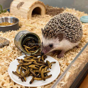 หนอนข้าวบาร์เลย์อบแห้ง: อาหารทดแทนที่สะอาดและปลอดภัยสำหรับสัตว์ - Product Image 2