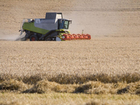 Moissonneuse-batteuse à flux axial GN60 140 CV, machine multi-cultures avec cabine ergonomique pour la récolte du riz, du blé, du maïs et du soja