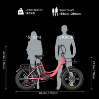 ENGWE-Bicyclette électrique pour adulte, 7 vitesses, 48V, 13Ah, 250W, stock européen, L20