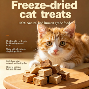 Aliments secs pour animaux de compagnie OEM en gros : Granulés de poulet naturel en dés, granulés de poisson saumon, friandises lyophilisées riches en protéines pour chats - Product Image 4