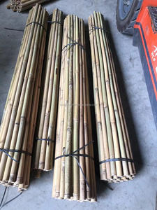 Vente en gros directe 20GP conteneur Tonkin cannes et poteaux en bambou 60cm-500cm fournitures de jardin 2025 - Product Image 6